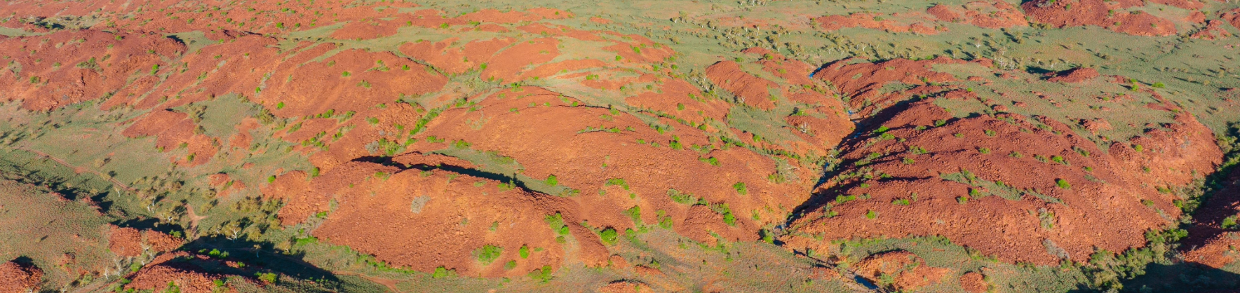 Karratha Banner